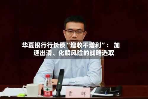 华夏银行行长谈“增收不增利”: 加速出清、化解风险的战略选取
