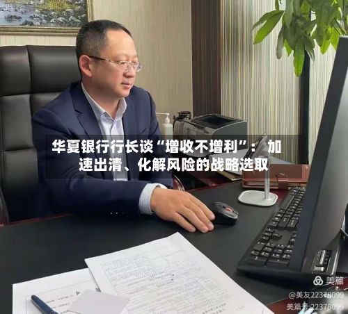 华夏银行行长谈“增收不增利”： 加速出清、化解风险的战略选取-第2张图片
