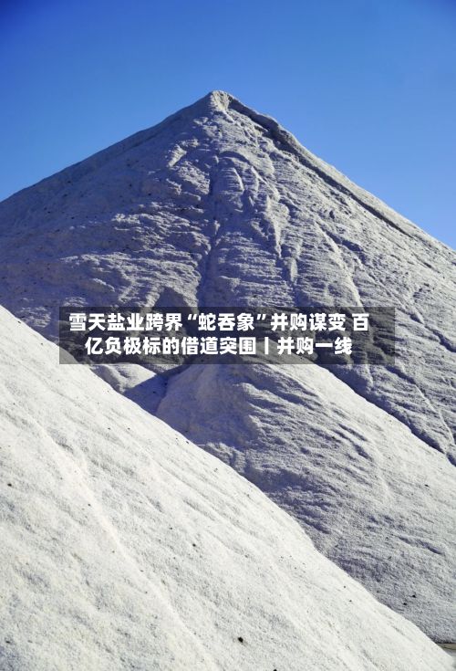 雪天盐业跨界“蛇吞象”并购谋变 百亿负极标的借道突围丨并购一线-第3张图片