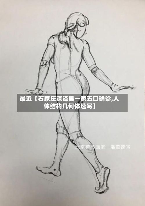 最近【石家庄深泽县一家五口确诊,人体结构几何体速写】