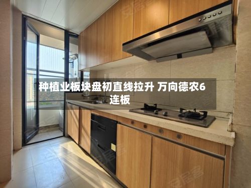 种植业板块盘初直线拉升 万向德农6连板-第2张图片