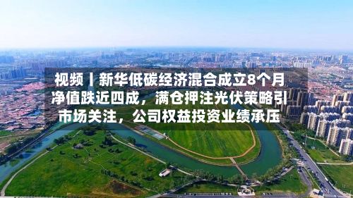 视频丨新华低碳经济混合成立8个月净值跌近四成,满仓押注光伏策略引市场关注,公司权益投资业绩承压