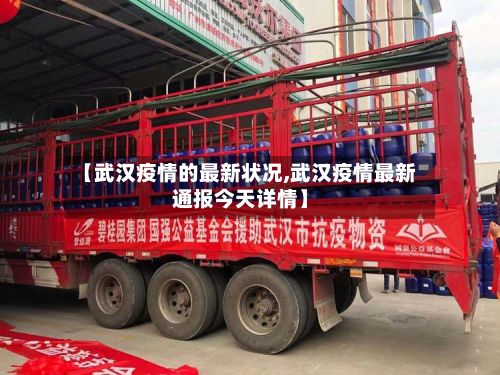 【武汉疫情的最新状况,武汉疫情最新通报今天详情】-第2张图片