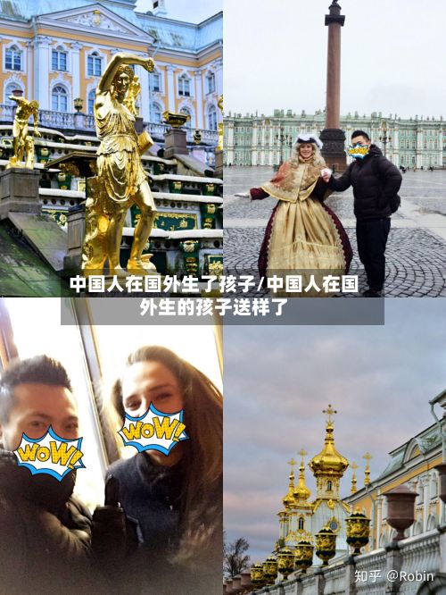 中国人在国外生了孩子/中国人在国外生的孩子送样了-第2张图片