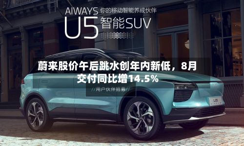 蔚来股价午后跳水创年内新低，8月交付同比增14.5%-第2张图片