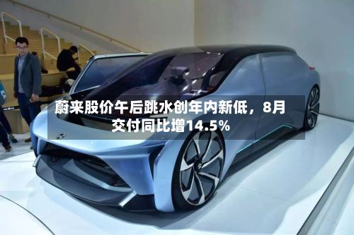 蔚来股价午后跳水创年内新低，8月交付同比增14.5%-第1张图片