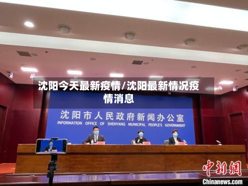 沈阳今天最新疫情/沈阳最新情况疫情消息-第3张图片