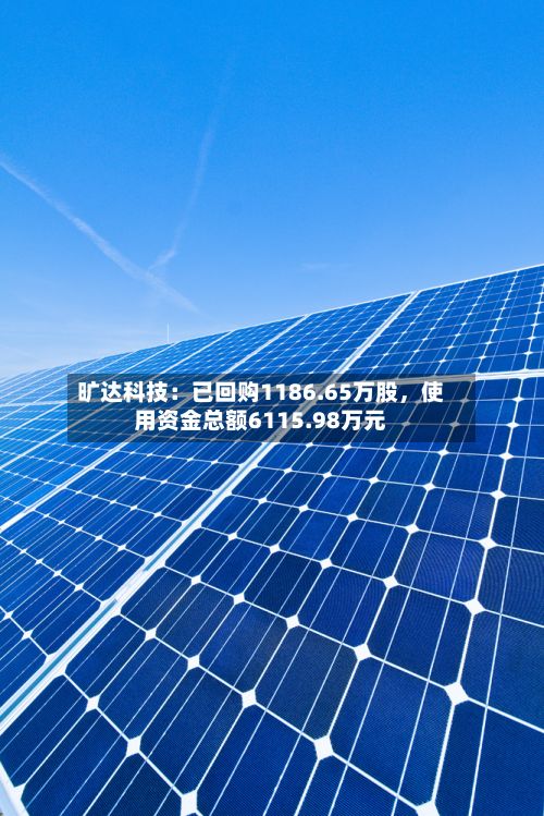 旷达科技：已回购1186.65万股，使用资金总额6115.98万元-第2张图片