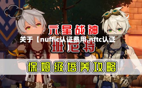 关于【nuffic认证费用,nftc认证】-第3张图片