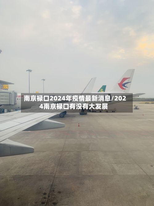 南京禄口2024年疫情最新消息/2024南京禄口有没有大发展-第3张图片