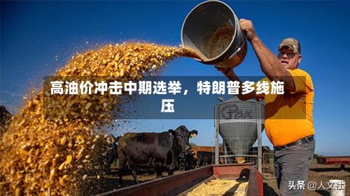 高油价冲击中期选举，特朗普多线施压-第2张图片