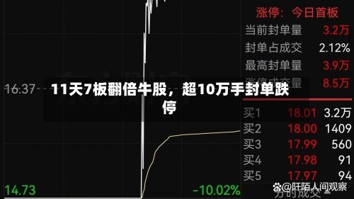 11天7板翻倍牛股，超10万手封单跌停-第3张图片