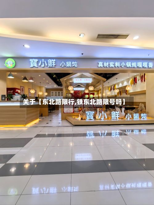 关于【东北路限行,铁东北路限号吗】-第3张图片