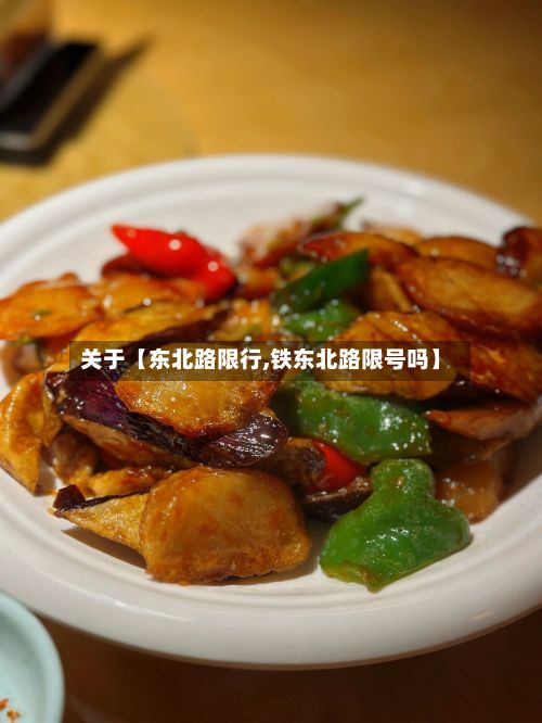 关于【东北路限行,铁东北路限号吗】-第2张图片