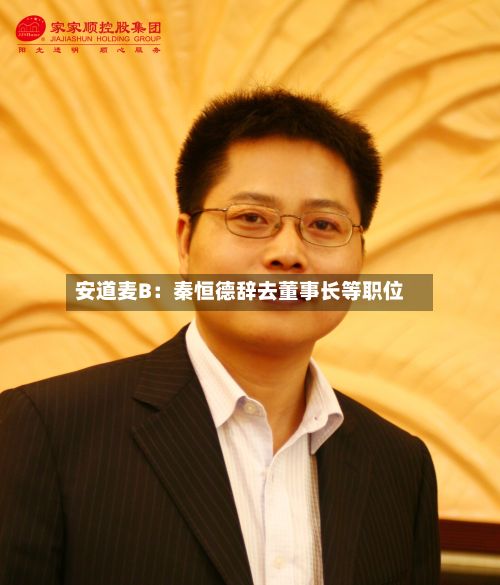 安道麦B:秦恒德辞去董事长等职位