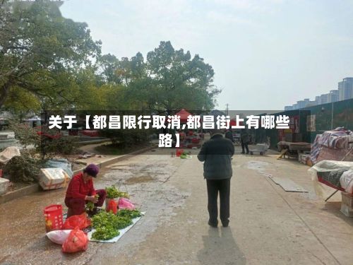 关于【都昌限行取消,都昌街上有哪些路】