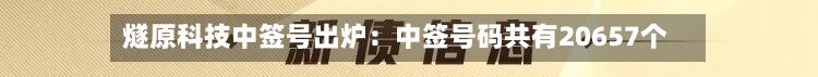 燧原科技中签号出炉:中签号码共有20657个-第2张图片