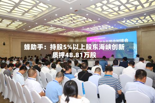 蜂助手:持股5%以上股东海峡创新质押48.81万股-第2张图片