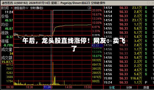 午后，龙头股直线涨停！网友：卖飞了-第3张图片