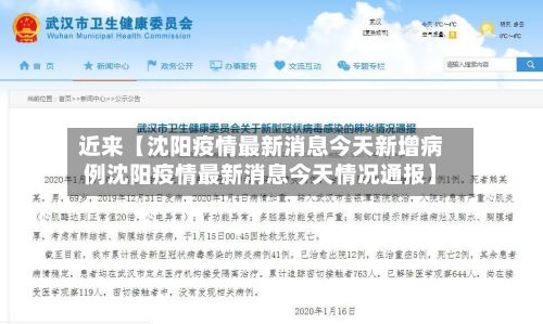 近来【沈阳疫情最新消息今天新增病例沈阳疫情最新消息今天情况通报】-第3张图片