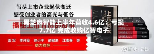 黑芝麻智能上半年营收4.6亿:亏损7.7亿 完成收购亿智电子-第2张图片