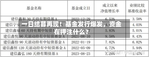 一日结募再现！基金发行爆发	，资金在押注什么？-第2张图片