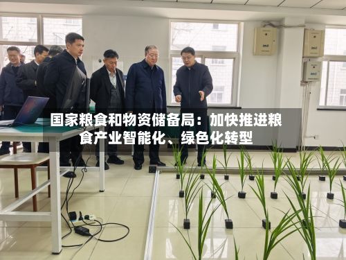 国家粮食和物资储备局：加快推进粮食产业智能化、绿色化转型-第2张图片