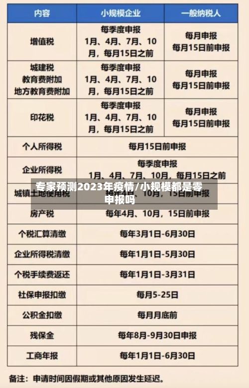 专家预测2023年疫情/小规模都是零申报吗