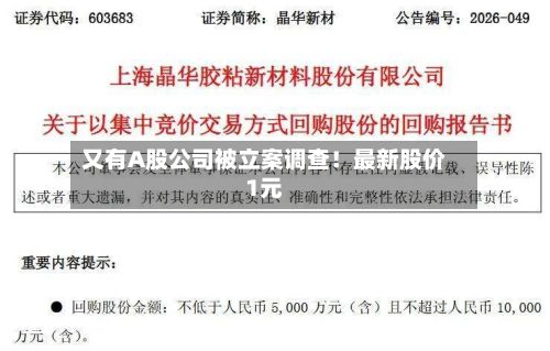 又有A股公司被立案调查!最新股价1元-第2张图片