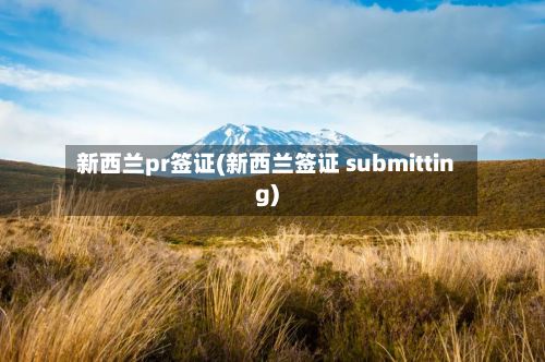 新西兰pr签证(新西兰签证 submitting)