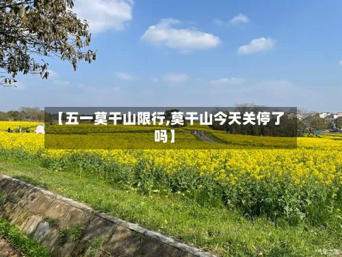 【五一莫干山限行,莫干山今天关停了吗】-第3张图片