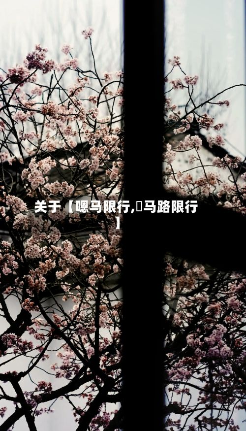关于【嗯马限行,漷马路限行】