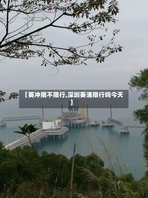 【葵冲限不限行,深圳葵涌限行吗今天】-第3张图片