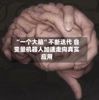 “一个大脑	”不断迭代 自变量机器人加速走向真实应用-第3张图片