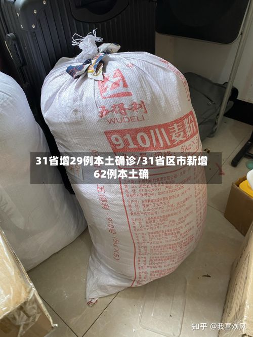 31省增29例本土确诊/31省区市新增62例本土确-第3张图片