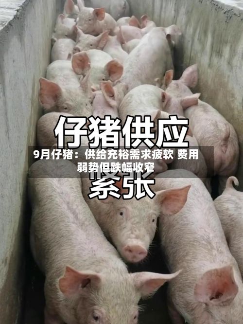 9月仔猪:供给充裕需求疲软 费用
弱势但跌幅收窄-第3张图片