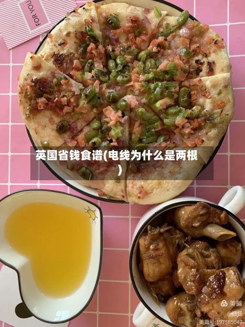 英国省钱食谱(电线为什么是两根)-第2张图片