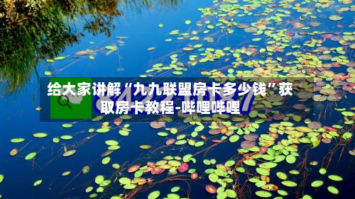 给大家讲解“九九联盟房卡多少钱”获取房卡教程-哔哩哔哩-第2张图片