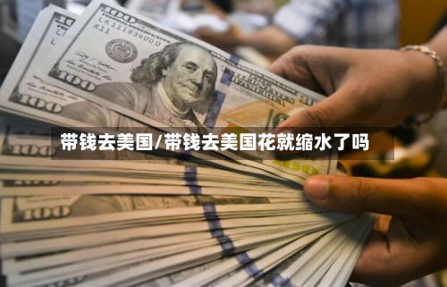 带钱去美国/带钱去美国花就缩水了吗-第2张图片
