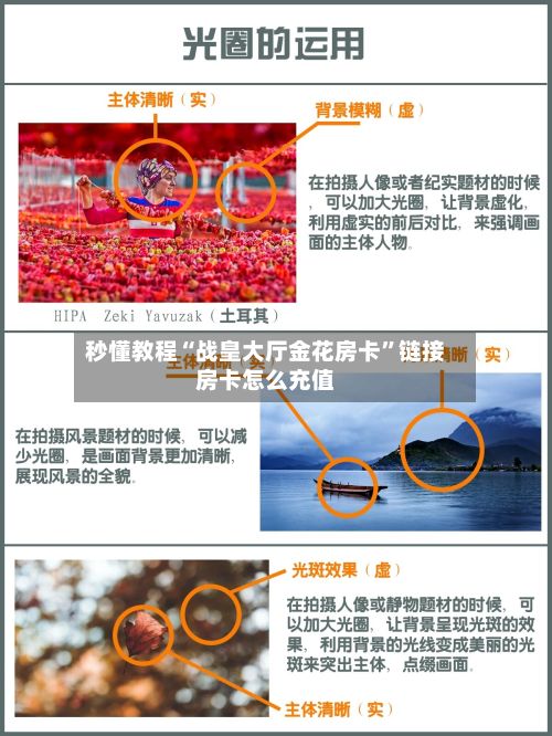 秒懂教程“战皇大厅金花房卡”链接房卡怎么充值-第3张图片