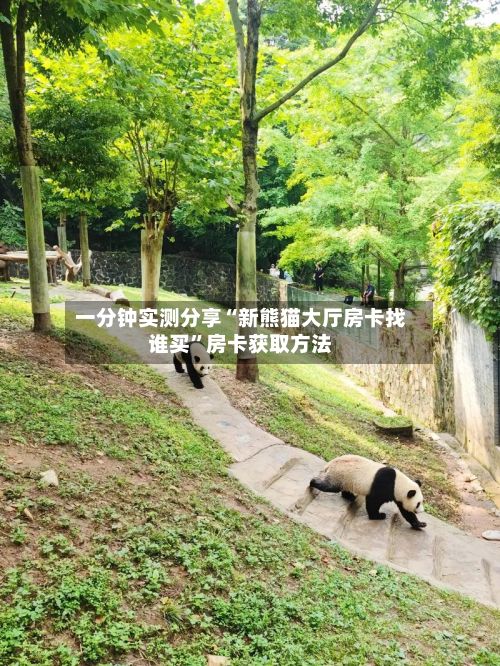 一分钟实测分享“新熊猫大厅房卡找谁买”房卡获取方法-第3张图片