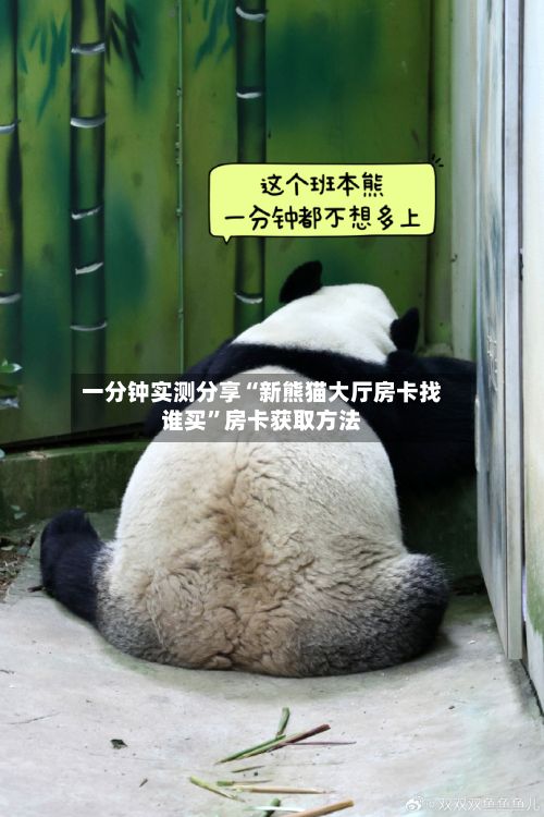 一分钟实测分享“新熊猫大厅房卡找谁买	”房卡获取方法-第2张图片