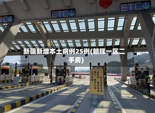 新疆新增本土病例25例(朝晖一区二手房)-第2张图片