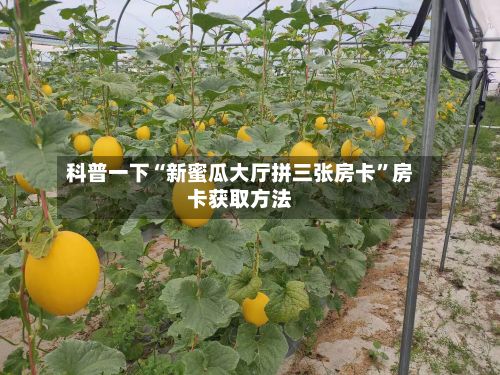 科普一下“新蜜瓜大厅拼三张房卡”房卡获取方法-第3张图片