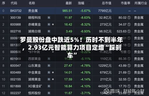 罗曼股份盘中跌近5%！历时不到半年，2.93亿元智能算力项目定增“踩刹车”-第3张图片
