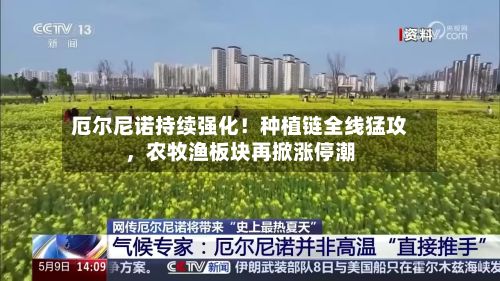 厄尔尼诺持续强化！种植链全线猛攻，农牧渔板块再掀涨停潮