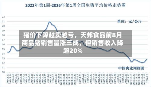 猪价下降越卖越亏，天邦食品前8月商品猪销售量涨三成	，但销售收入降超20%-第2张图片