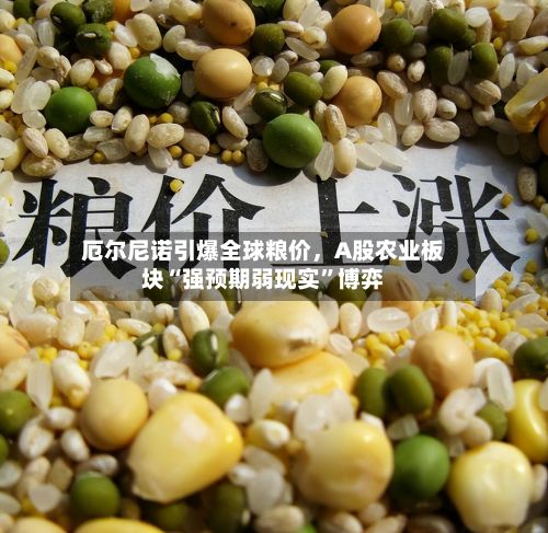 厄尔尼诺引爆全球粮价，A股农业板块“强预期弱现实”博弈-第1张图片