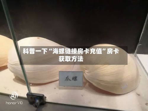 科普一下“海螺链接房卡充值”房卡获取方法-第2张图片