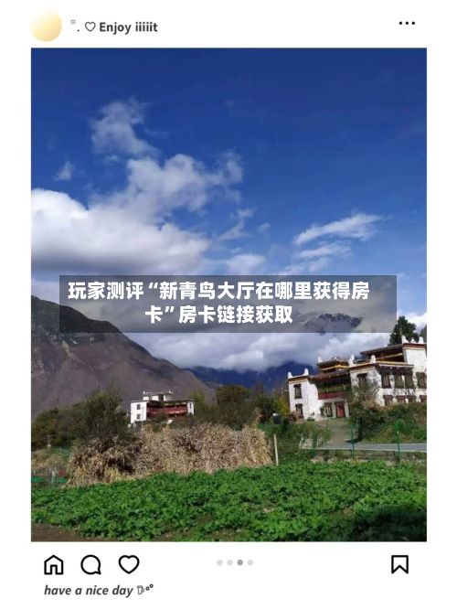 玩家测评“新青鸟大厅在哪里获得房卡”房卡链接获取-第3张图片